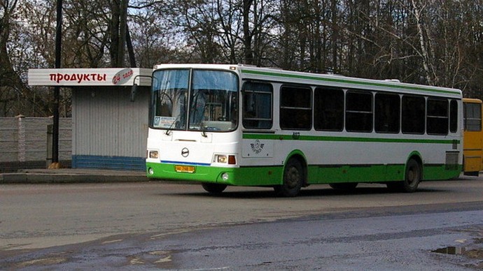 avtobus11